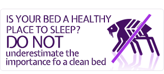 Dust Mite & Mattress Cleaning